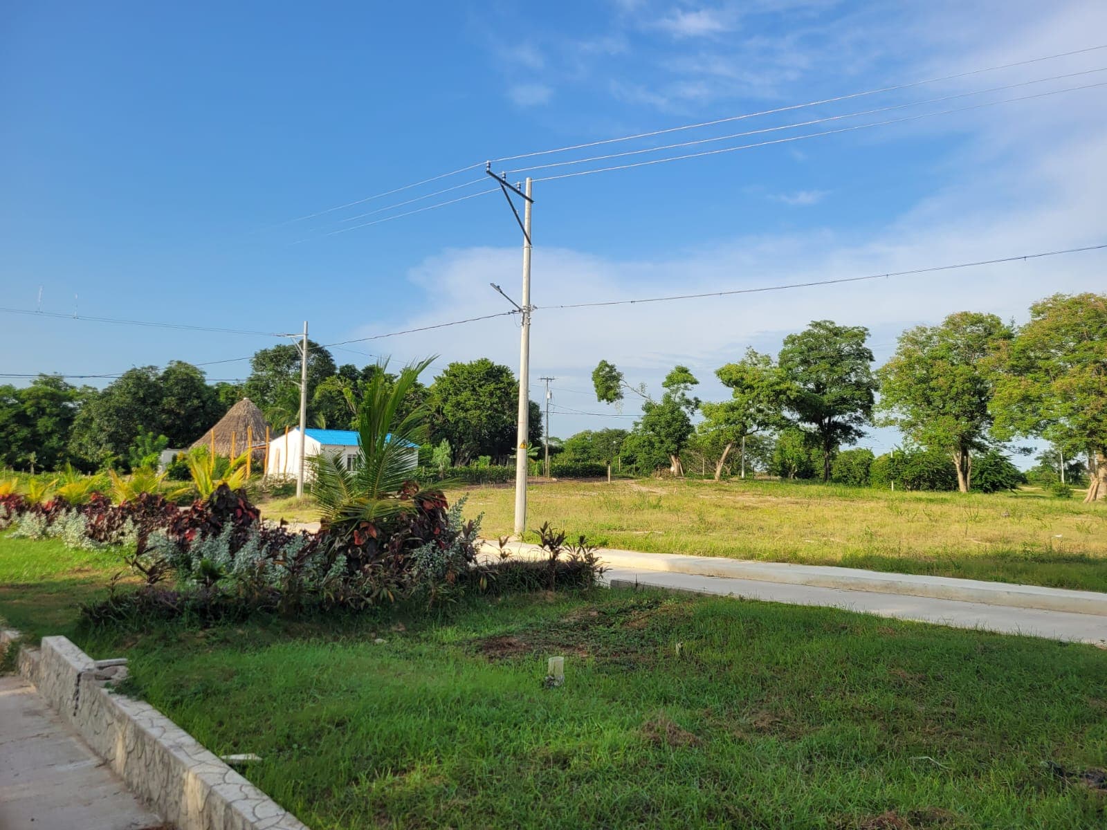 Lote Estándar